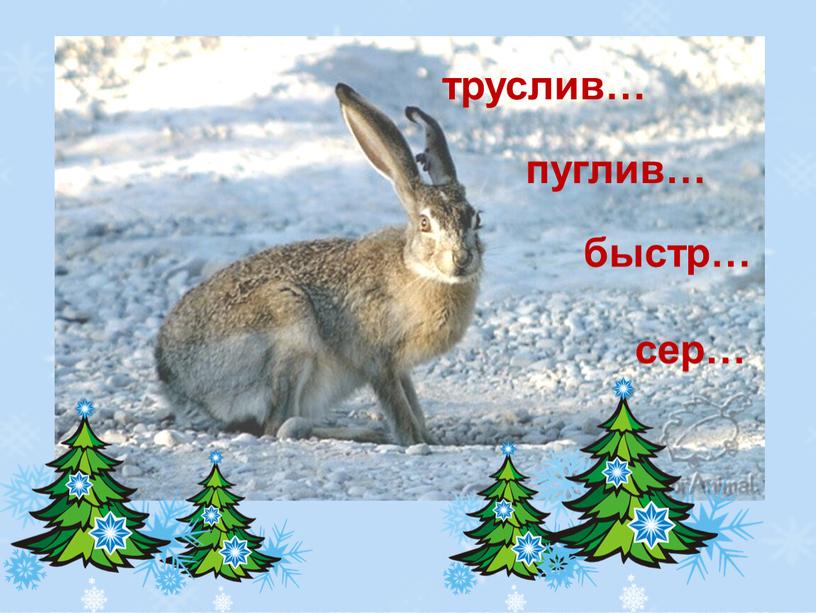 сер… труслив… быстр… пуглив…