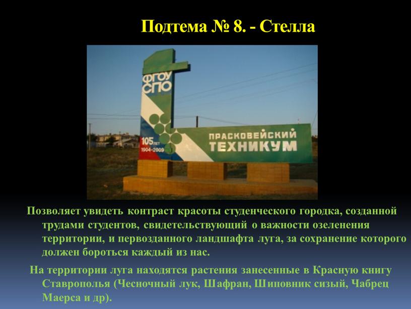 Подтема № 8. - Стелла Позволяет увидеть контраст красоты студенческого городка, созданной трудами студентов, свидетельствующий о важности озеленения территории, и первозданного ландшафта луга, за сохранение…