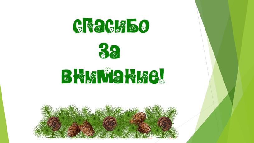 Определение эффективного метода выращивания кедра сибирского в домашних условиях? презентация