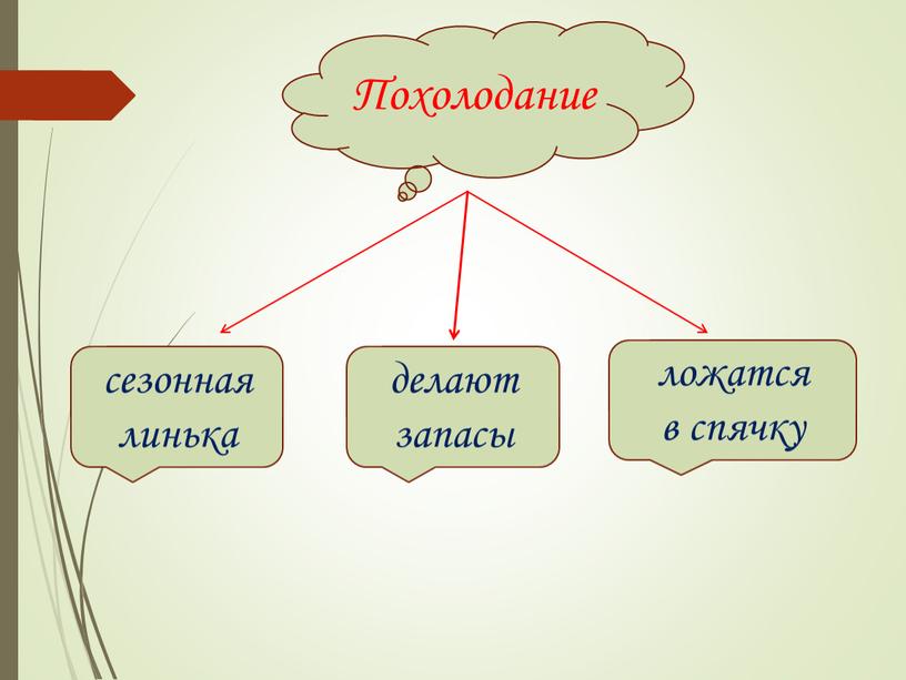 Похолодание сезонная линька ложатся в спячку делают запасы