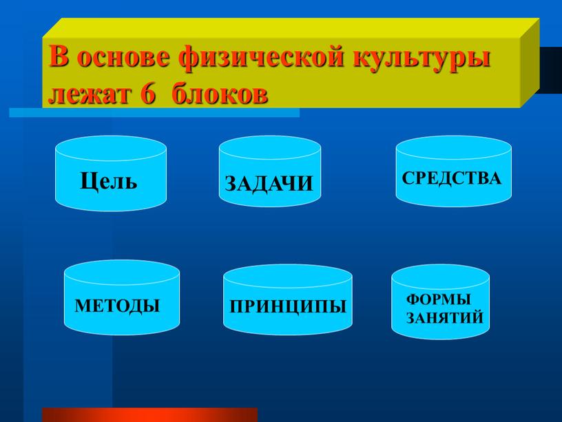 В основе физической культуры лежат 6 блоков