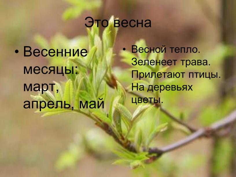 Это весна Весенние месяцы: март, апрель, май