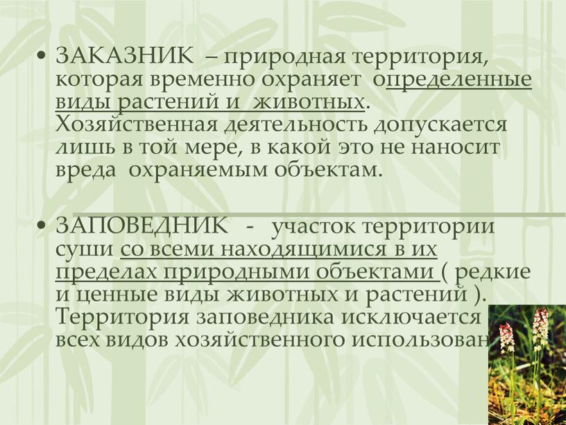 ЗАКАЗНИК – природная территория, которая временно охраняет определенные виды растений и животных