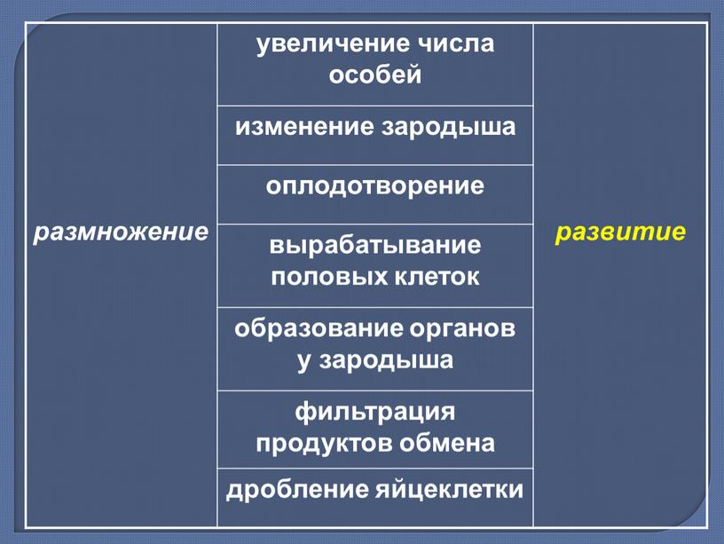 размножение увеличение числа особей развитие изменение зародыша оплодотворение вырабатывание половых клеток образование органов у зародыша фильтрация продуктов обмена дробление яйцеклетки