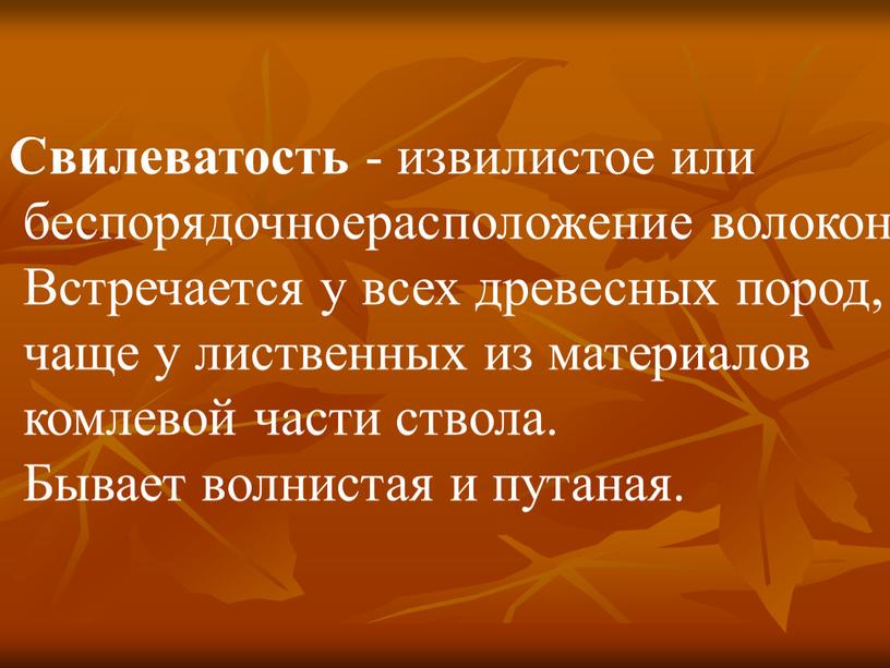 Свилеватость - извилистое или беспорядочноерасположение волокон древесины