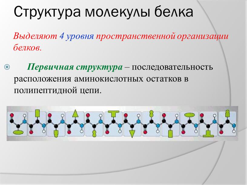 Структура молекулы белка Первичная структура – последовательность расположения аминокислотных остатков в полипептидной цепи