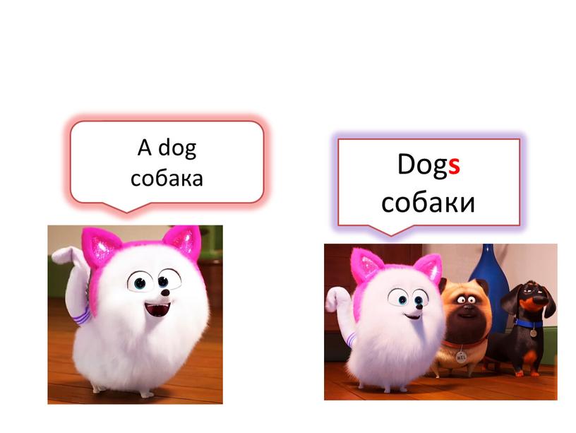 A dog собака Dog s собаки