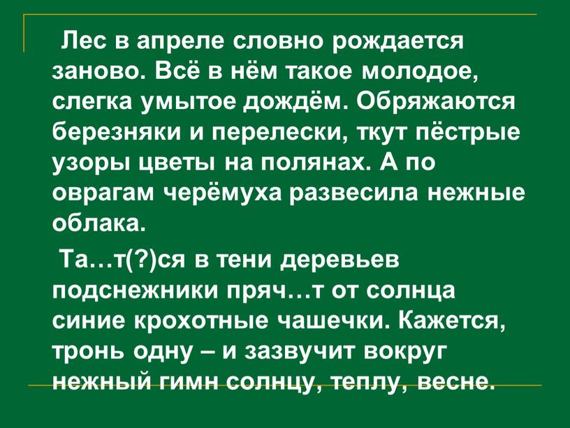 Лес в апреле словно рождается заново