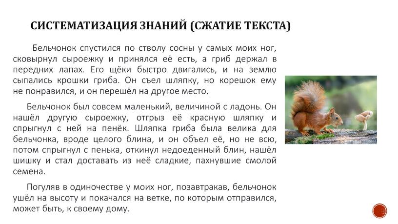 Систематизация знаний (сжатие текста)