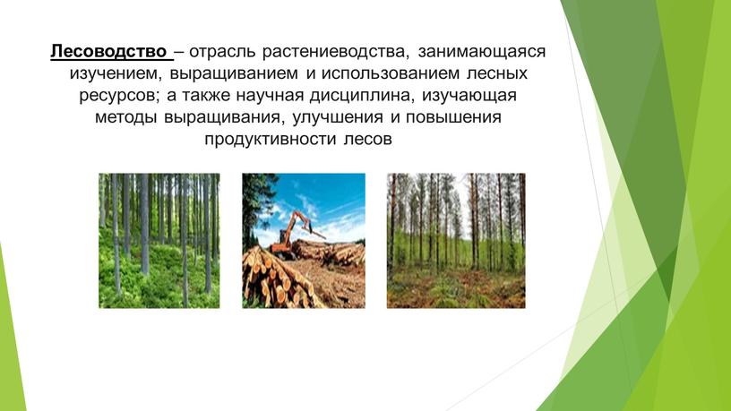Лесоводство – отрасль растениеводства, занимающаяся изучением, выращиванием и использованием лесных ресурсов; а также научная дисциплина, изучающая методы выращивания, улучшения и повышения продуктивности лесов