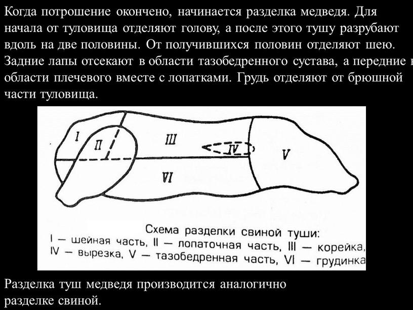 Когда потрошение окончено, начинается разделка медведя