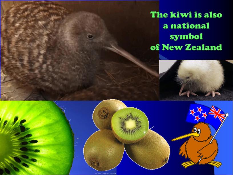 The kiwi is also a national symbol of