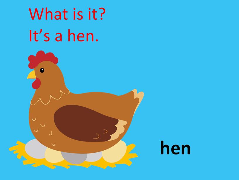 hen What is it? It’s a hen.