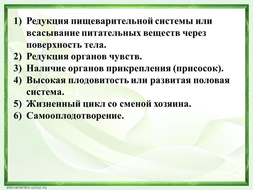 Редукция пищеварительной системы или всасывание питательных веществ через поверхность тела