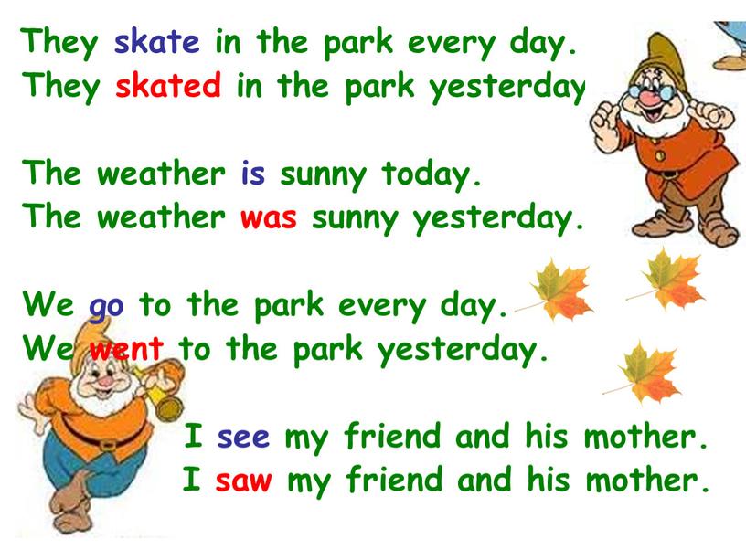 They skate in the park every day