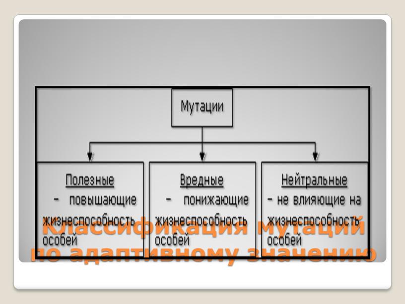 Классификация мутаций по адаптивному значению