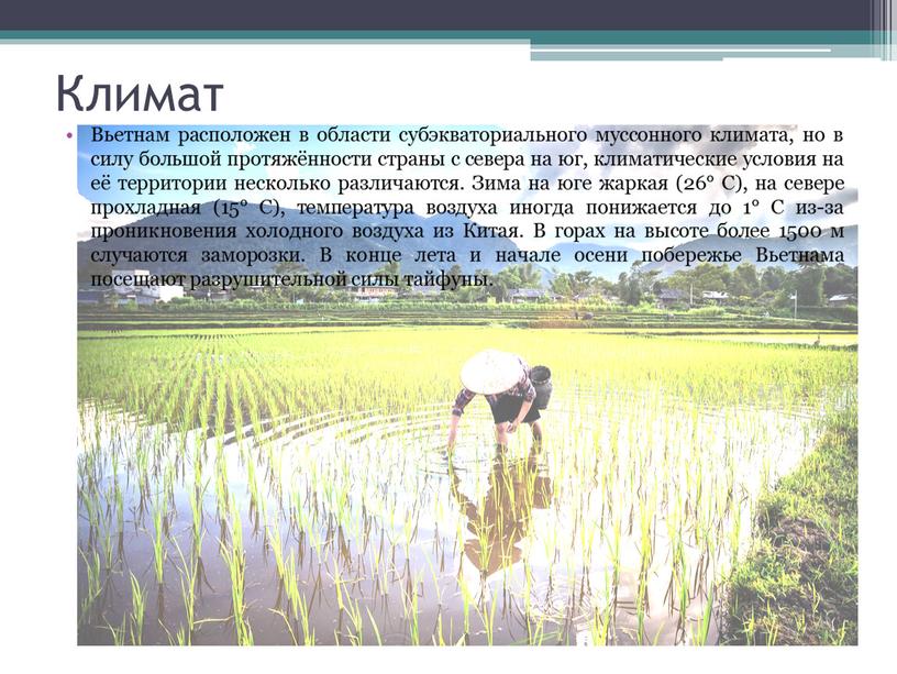 Климат Вьетнам расположен в области субэкваториального муссонного климата, но в силу большой протяжённости страны с севера на юг, климатические условия на её территории несколько различаются