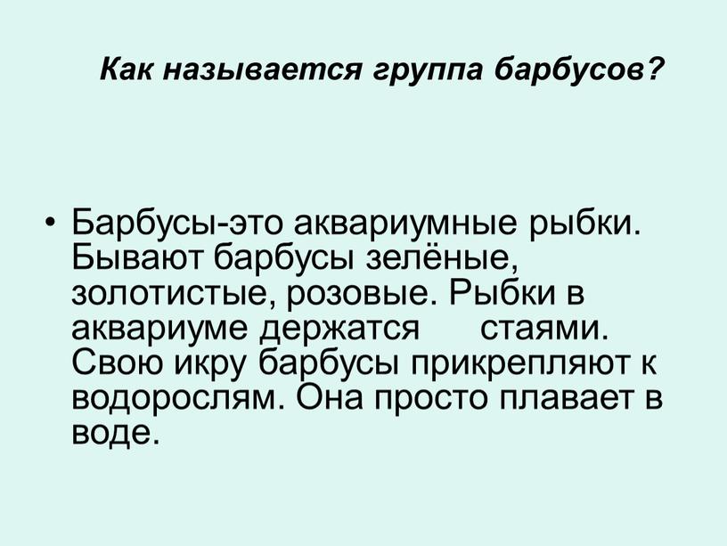 Как называется группа барбусов?