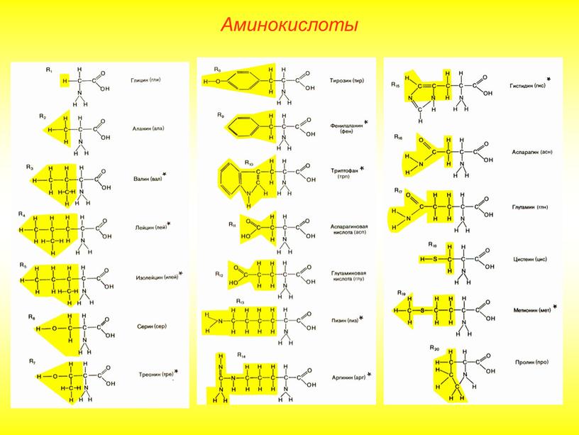 Аминокислоты