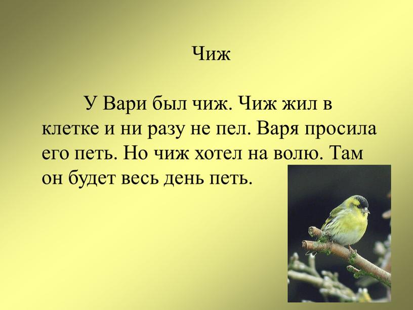 Чиж У Вари был чиж. Чиж жил в клетке и ни разу не пел