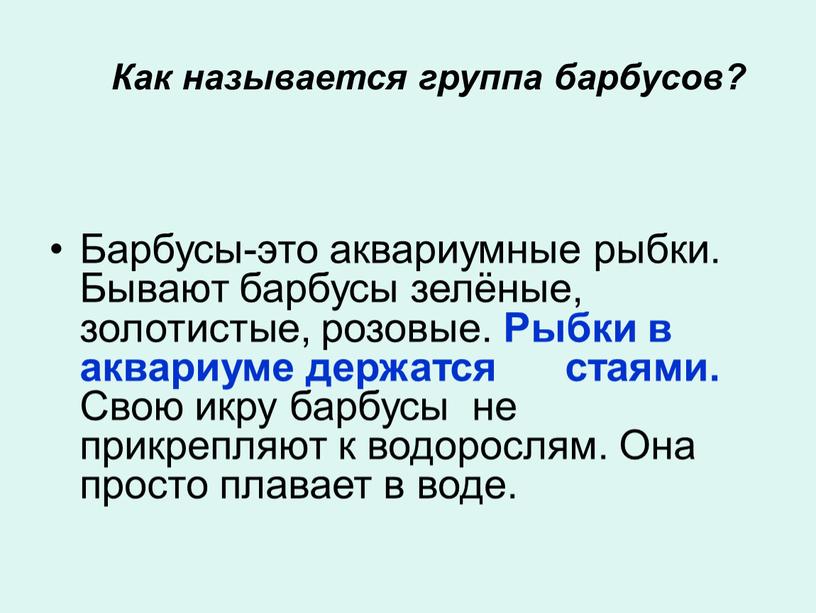 Как называется группа барбусов?