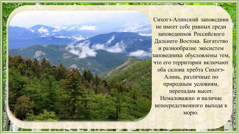 Сихотэ-Алинский заповедник не имеет себе равных среди заповедников