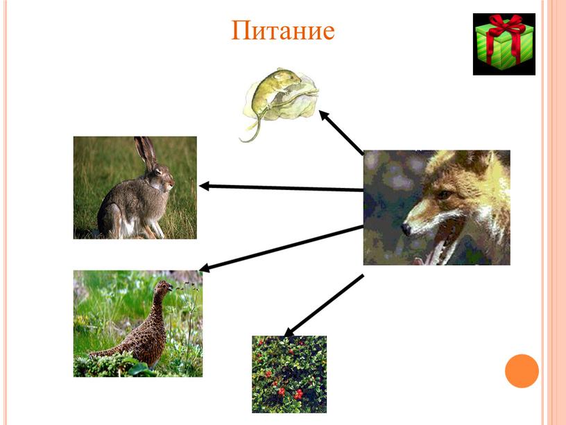 Питание