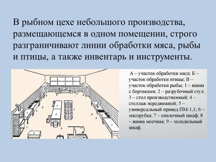 В рыбном цехе небольшого производства, размещающемся в одном помещении, строго разграничивают линии обработки мяса, рыбы и птицы, а также инвентарь и инструменты