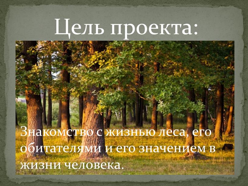 Цель проекта: Знакомство с жизнью леса, его обитателями и его значением в жизни человека