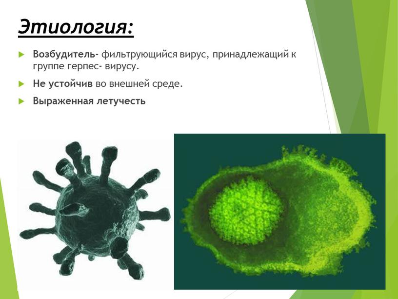 Этиология: Возбудитель - фильтрующийся вирус, принадлежащий к группе герпес- вирусу