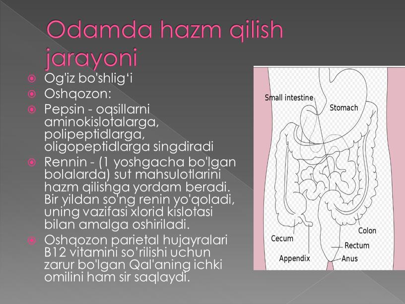 Odamda hazm qilish jarayoni Og'iz bo'shlig‘i