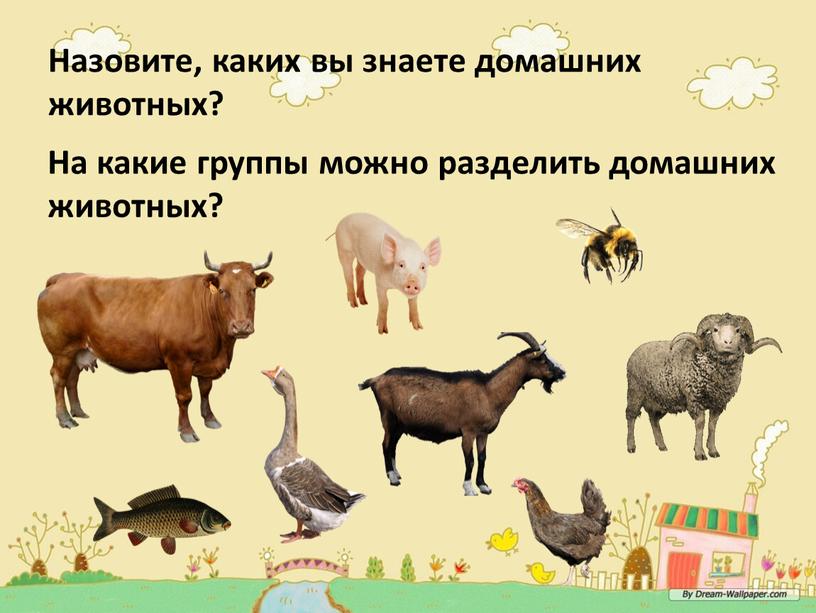 Назовите, каких вы знаете домашних животных?