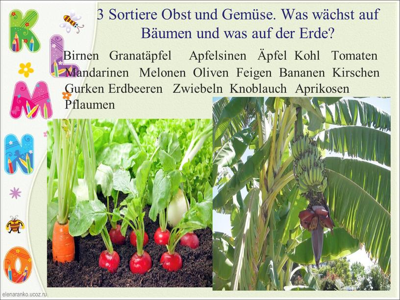 Sortiere Obst und Gemüse. Was wächst auf