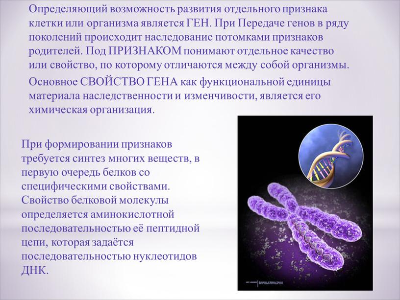 Определяющий возможность развития отдельного признака клетки или организма является