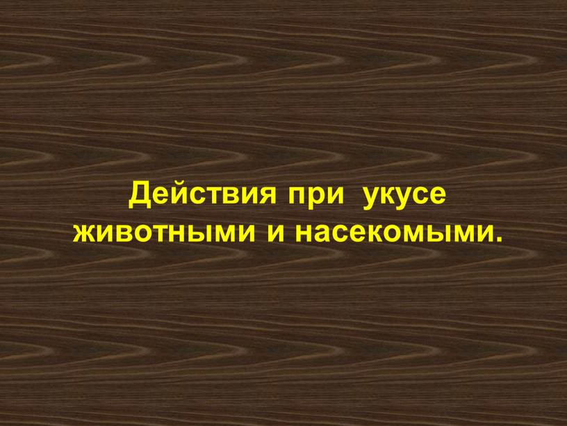 Действия при укусе животными и насекомыми