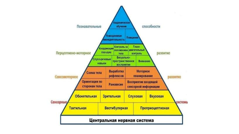 Влияние сенсорной интеграции на развитие ребенка раннего возраста