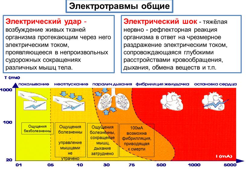 Электротравмы общие Электрический удар - возбуждение живых тканей организма протекающим через него электрическим током, проявляющееся в непроизвольных судорожных сокращениях различных мышц тела