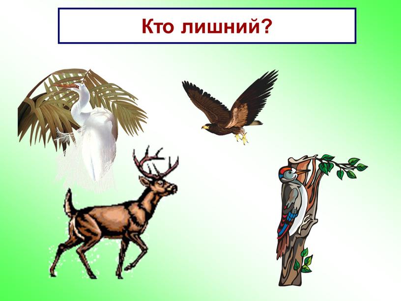 Кто лишний?