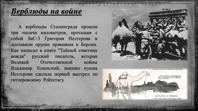 Верблюды на войне А верблюды Сталинграда прошли три тысячи километров, протащив с собой