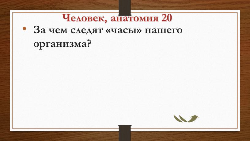 Человек, анатомия 20 За чем следят «часы» нашего организма?