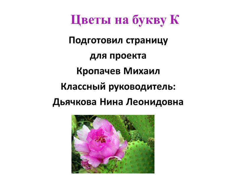 Цветы на букву К Подготовил страницу для проекта