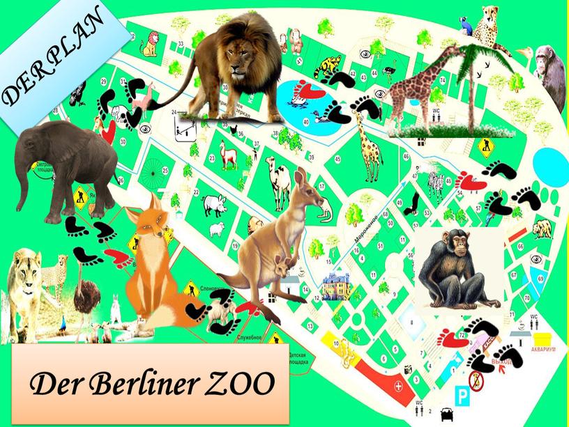 DER PLAN Der Berliner ZOO