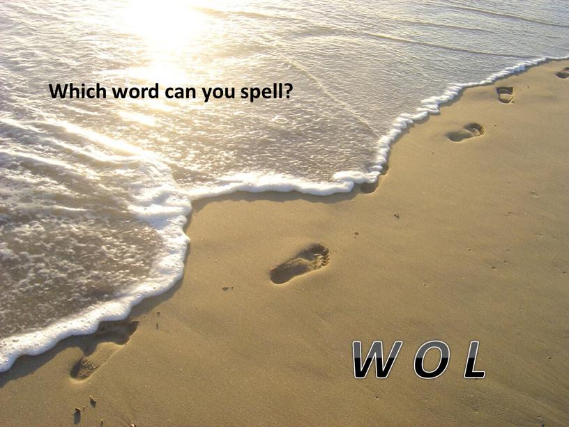 Which word can you spell? W O L