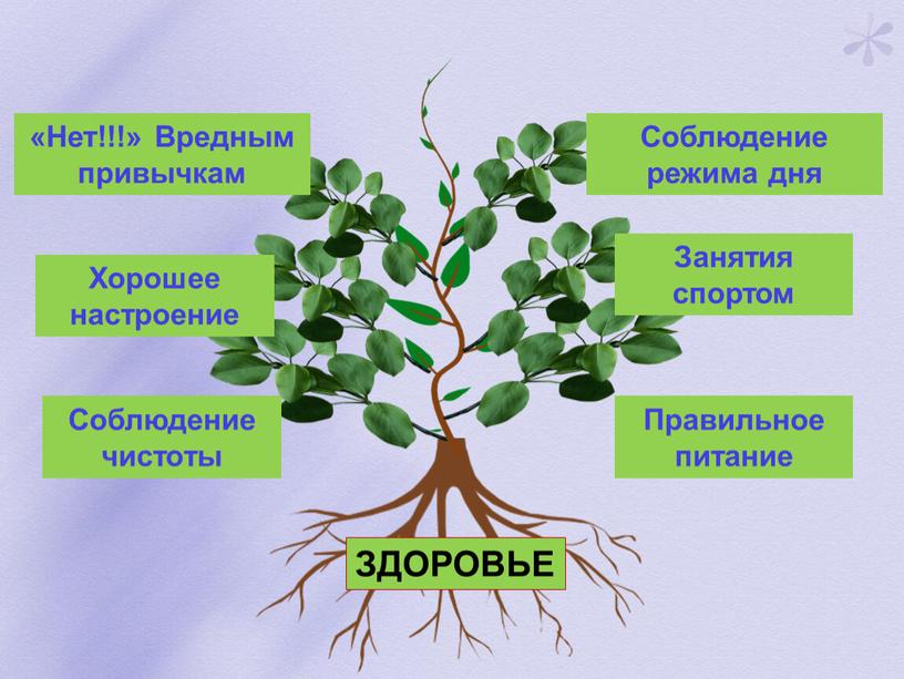 Соблюдение чистоты Правильное питание