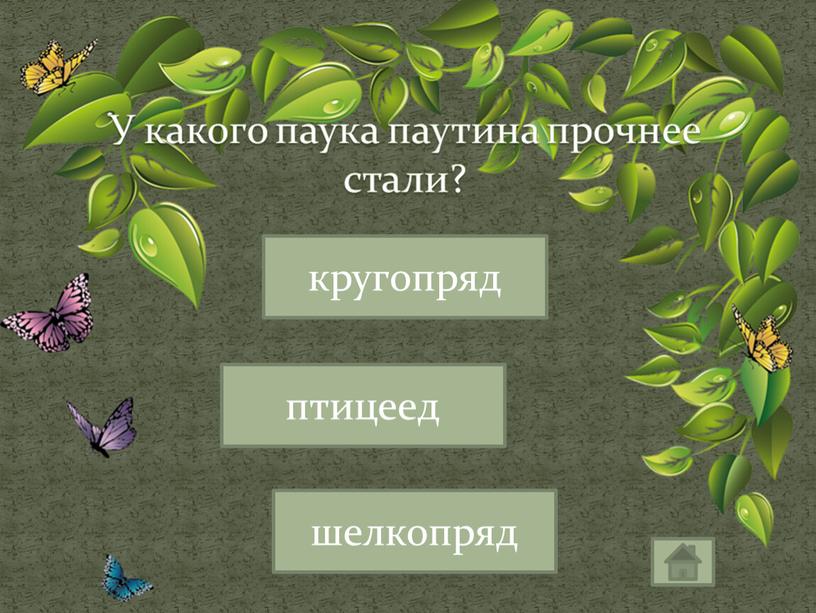 У какого паука паутина прочнее стали? кругопряд шелкопряд птицеед