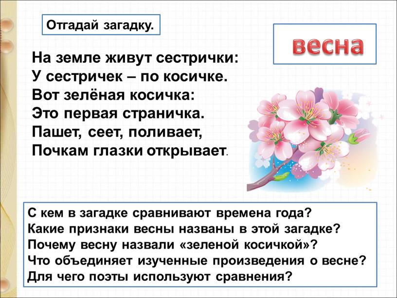 На земле живут сестрички: У сестричек – по косичке