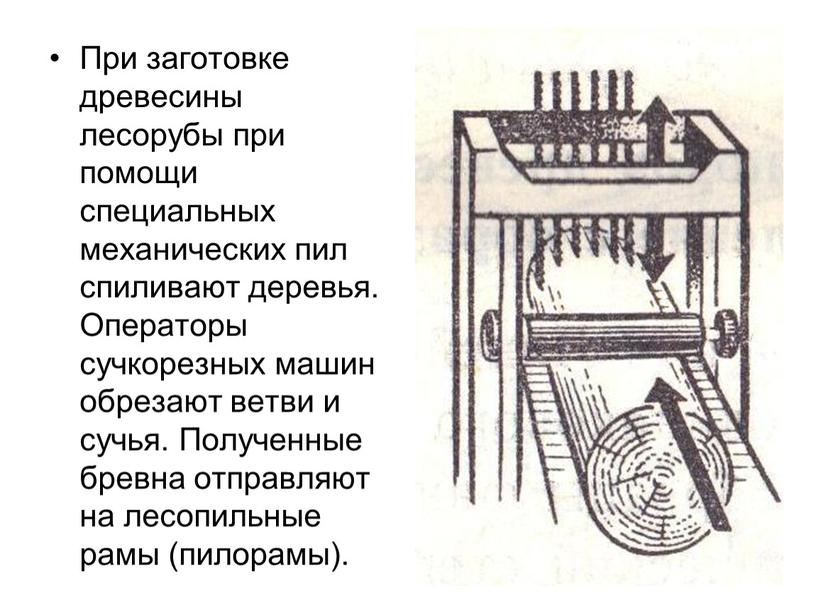 При заготовке древесины лесорубы при помощи специальных механических пил спиливают деревья