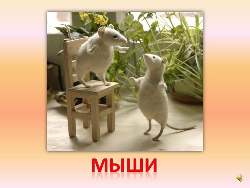 мыши