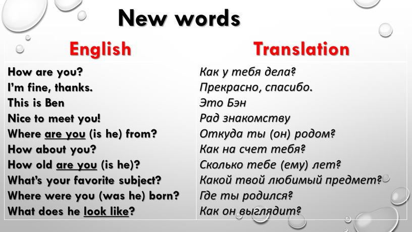 English Translation How are you?