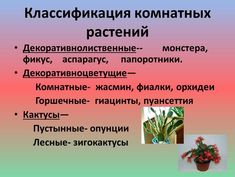 Классификация комнатных растений